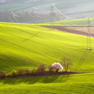 Beze jména